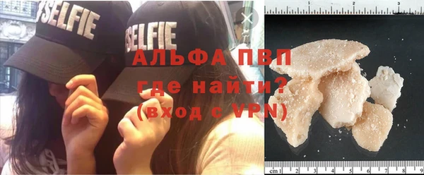 прущие крисы Балахна