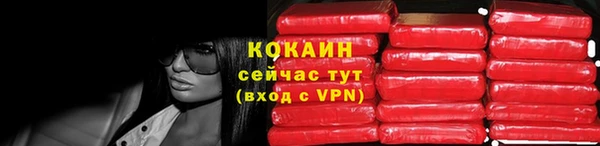 гашик Белоозёрский