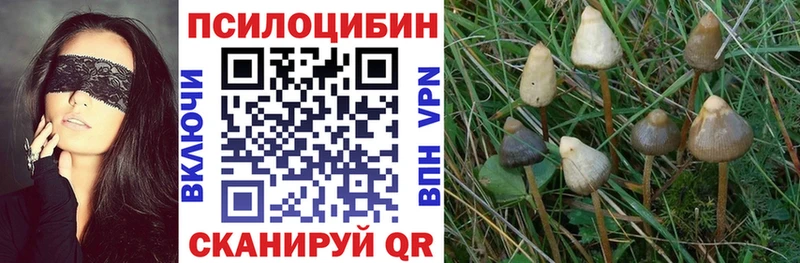 Купить закладки  Усолье  Галлюциногенные грибы Psilocybine cubensis 